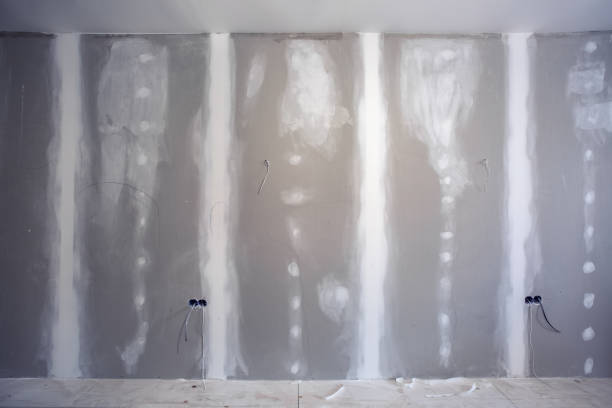 Best Commercial Mold Inspection  in Yorkshire, VA